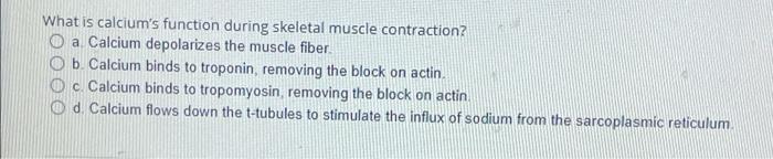 What Is Calcium S Function During Skeletal Muscle Contraction A Calcium Depolarizes The Muscle Fiber B Calcium Binds 1