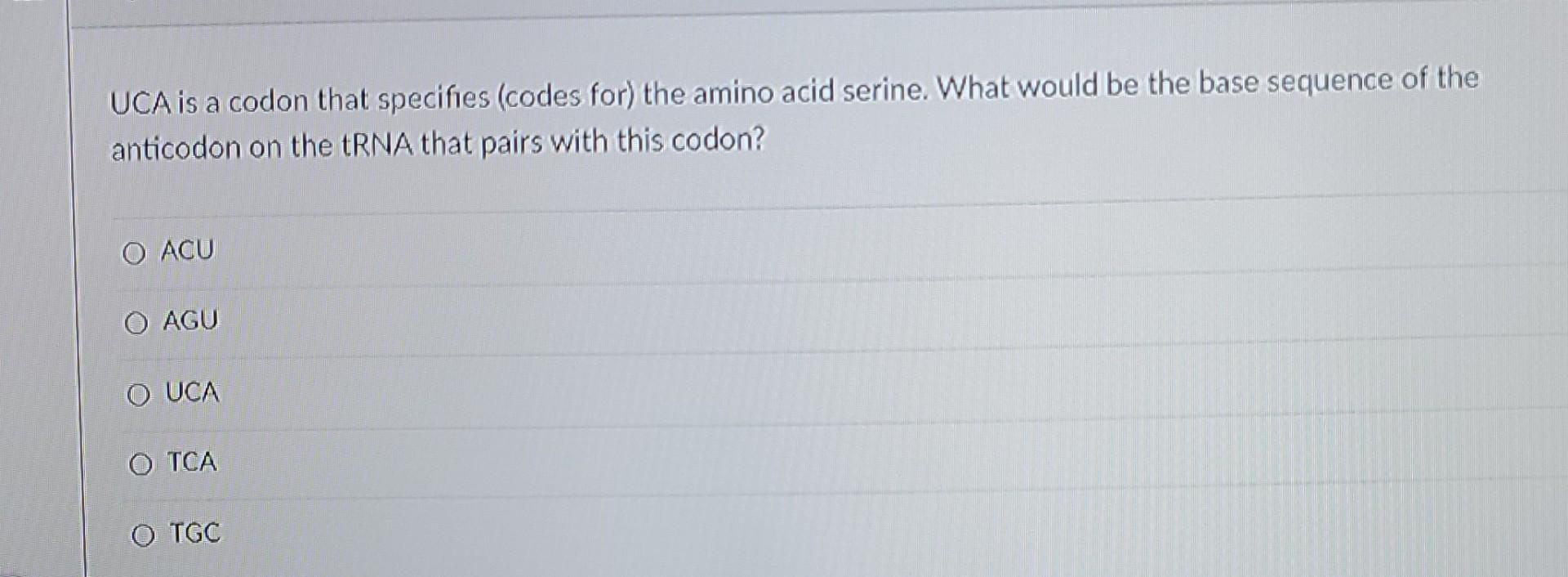 Uca Is A Codon That Specifies Codes For The Amino Acid Serine What Would Be The Base Sequence Of The Anticodon On The 1