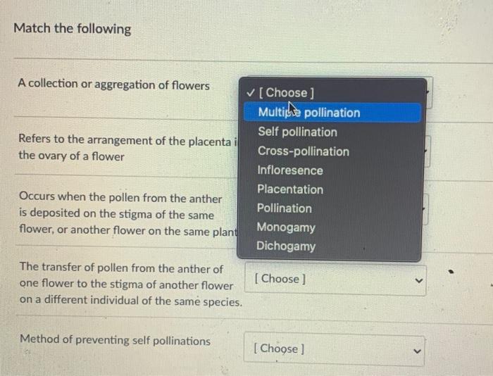 Match The Following A Collection Or Aggregation Of Flowers Refers To The Arrangement Of The Placenta I The Ovary Of A Fl 1