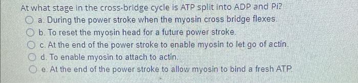 At What Stage In The Cross Bridge Cycle Is Atp Split Into Adp And Pi A During The Power Stroke When The Myosin Cross B 1