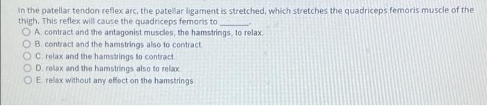 In The Patellar Tendon Reflex Arc The Patellar Ligament Is Stretched Which Stretches The Quadriceps Femoris Muscle Of 1