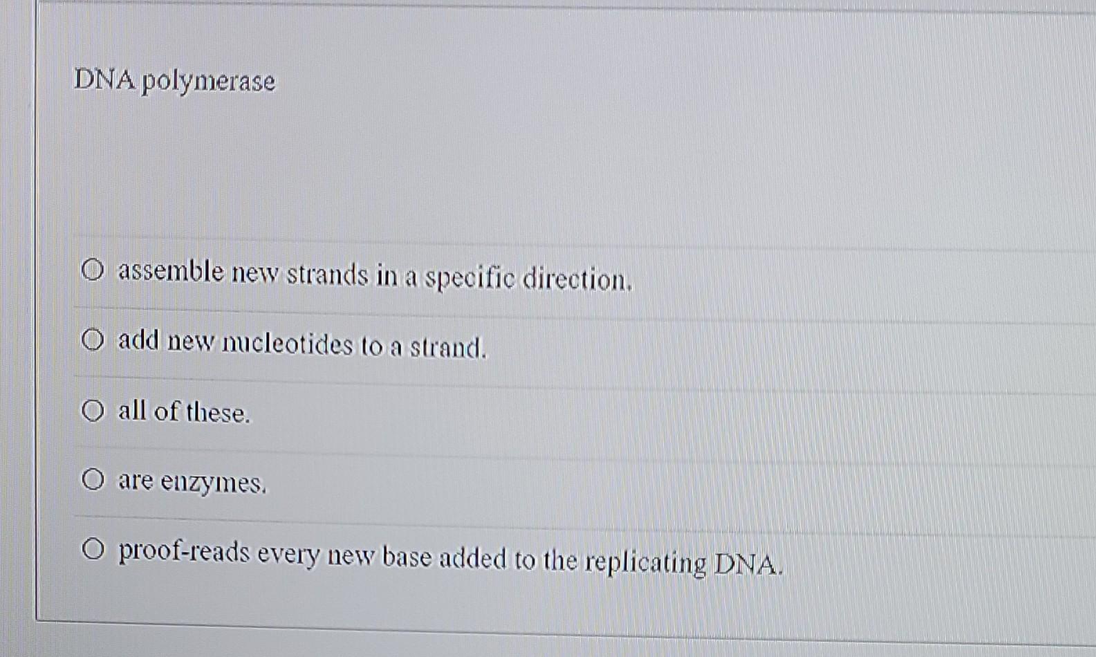 Dna Polymerase 1