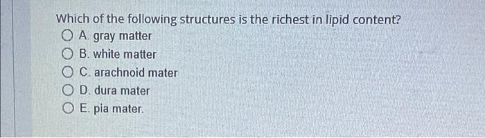 Which Of The Following Structures Is The Richest In Lipid Content O A Gray Matter Ob White Matter Oc Arachnoid Mater 1