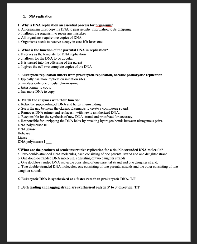 1 Dna Replication 1 Why Is Dna Replication An Essential Process For Prganisms A An Organism Must Copy Its Dna To Pas 1