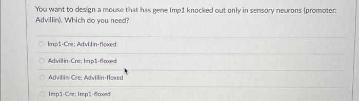 You Want To Design A Mouse That Has Gene Imp1 Knocked Out Only In Sensory Neurons Promoter Advillin Which Do You Nee 1