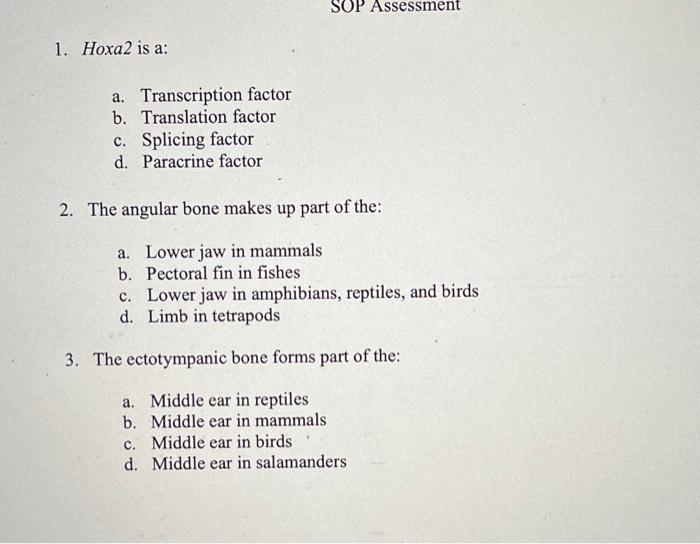1 Hoxa2 Is A A Transcription Factor B Translation Factor C Splicing Factor D Paracrine Factor 2 The Angular Bone 1
