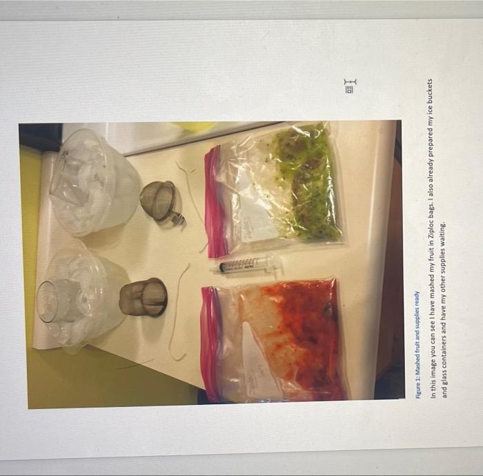 Instructions Question Would A Kiwifruit And Strawberry That Are Approximately The Same Size Also Have Approximately The 3