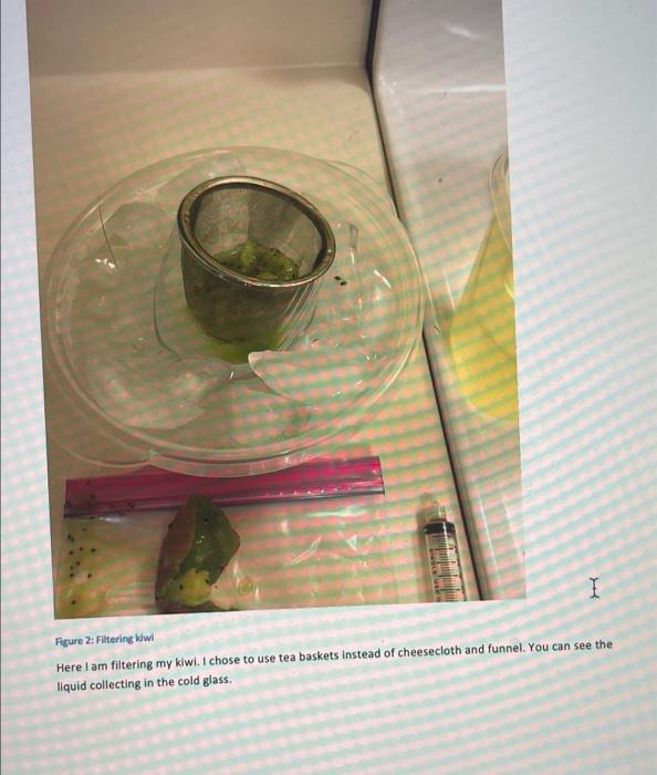 Instructions Question Would A Kiwifruit And Strawberry That Are Approximately The Same Size Also Have Approximately The 4