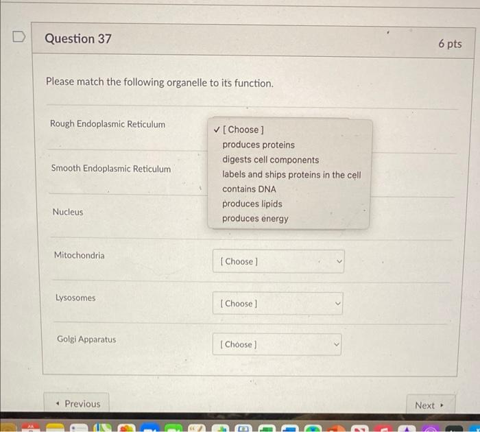 D Question 37 Please Match The Following Organelle To Its Function Rough Endoplasmic Reticulum Smooth Endoplasmic Retic 1