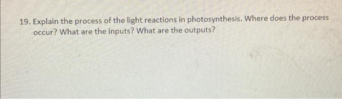 19 Explain The Process Of The Light Reactions In Photosynthesis Where Does The Process Occur What Are The Inputs Wha 1