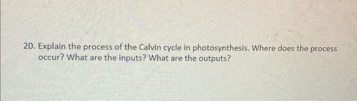 19 Explain The Process Of The Light Reactions In Photosynthesis Where Does The Process Occur What Are The Inputs Wha 2