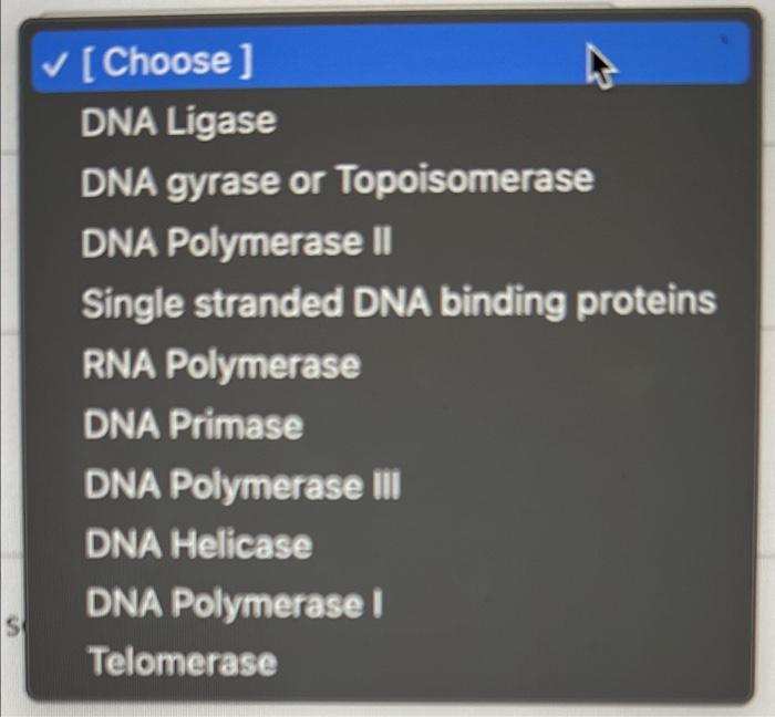 Match The Enzyme Or Protein With The Correct Description Of Its Activity In Bacterial Dna Replication Chains Most Nucle 2