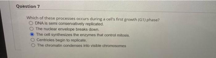 Question 7 Which Of These Processes Occurs During A Cell S First Growth G1 Phase O Dna Is Semi Conservatively Replica 1