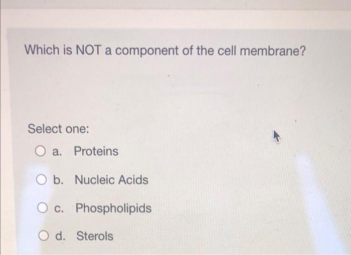 Which Is Not A Component Of The Cell Membrane Select One O A Proteins O B Nucleic Acids O C Phospholipids O D Ster 1
