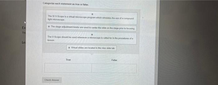 Ex Thi Le Categorize Each Statement As True Or False The Si V Scope Is A Virtual Microscope Program Which Simulates T 1