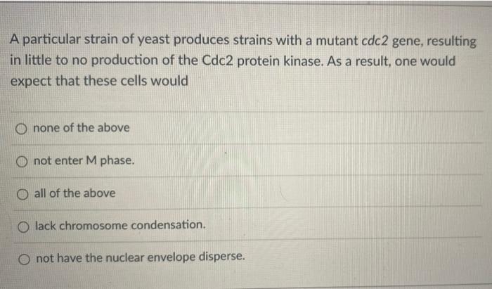 Which Of The Following Factors Do Not Influence The G2 M Transition Checkpoint Spindle Fiber Attachment To The Chromoso 2