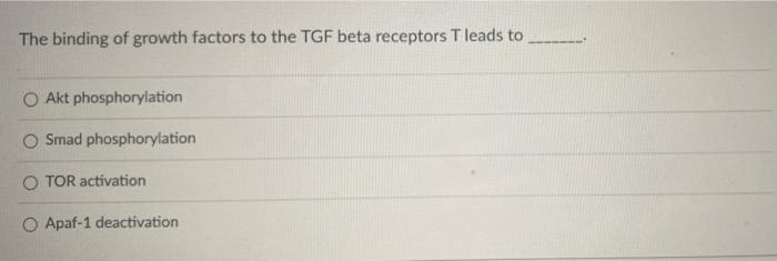 The Binding Of Growth Factors To The Tgf Beta Receptors T Leads To O Akt Phosphorylation Smad Phosphorylation O Tor Acti 1