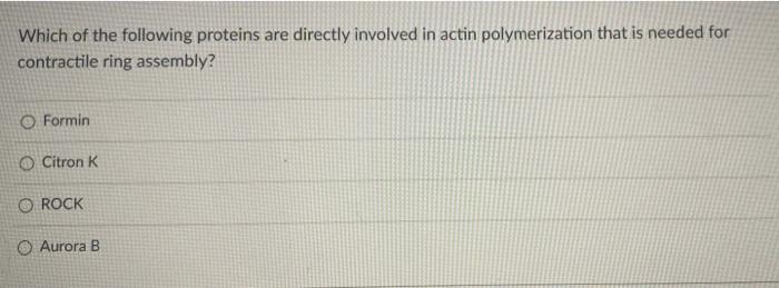 The Protein Involved In Correcting Errors In Spindle Fiber Attachment To The Chromosome Is O Mcak O Aurora A O Aurora B 2