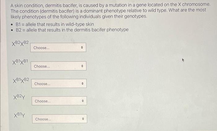 A Skin Condition Dermitis Bacifer Is Caused By A Mutation In A Gene Located On The X Chromosome The Condition Dermit 1