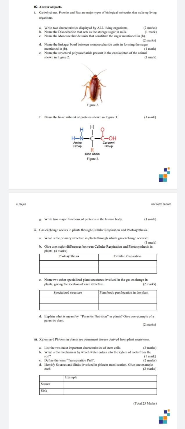 Pl Ex 02 02 Answer All Parts I Carbohydrates Proteins And Fats Are Major Types Of Biological Molecules That Make Up 1