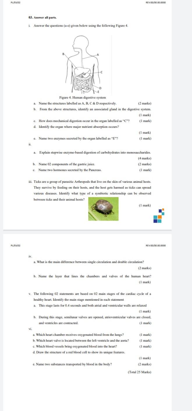 Pl Ex 02 Pl Ex 02 03 Answer All Parts Answer The Questions A E Given Below Using The Following Figure 4 I 11 Iv 1