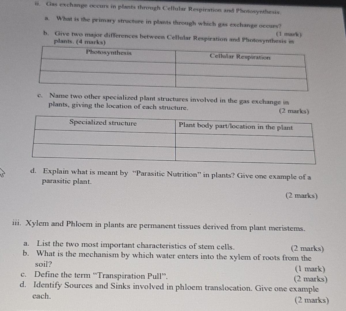 Ii Gas Exchange Occurs In Plants Through Cellular Respiration And Photosynthesis What Is The Primary Structure In Plan 1
