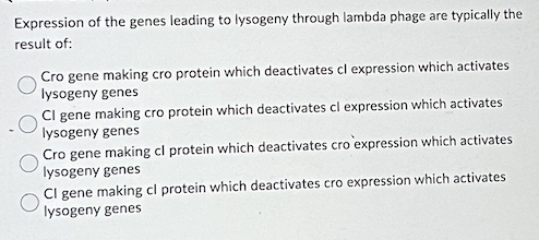 Expression Of The Genes Leading To Lysogeny Through Lambda Phage Are Typically The Result Of Cro Gene Making Cro Protei 1