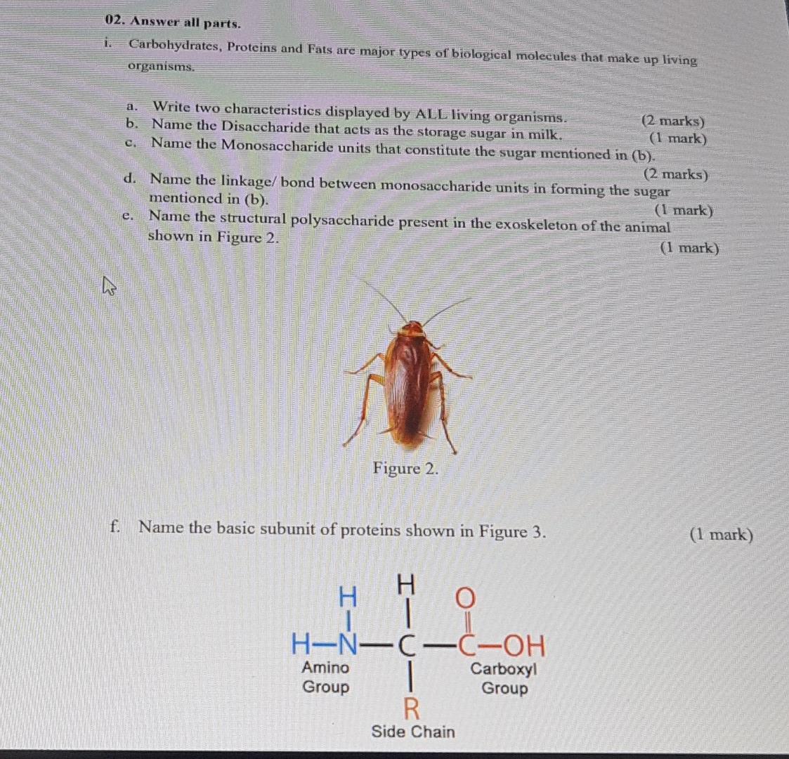 02 Answer All Parts Carbohydrates Proteins And Fats Are Major Types Of Biological Molecules That Make Up Living Organ 1