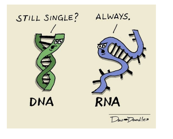 Comics Are One Way That Science Is Communicated To The General Public Comics Don T Just Present Issues In Science But 1