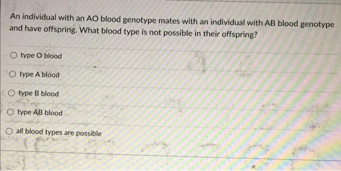 An Individual With An Ao Blood Genotype Mates With An Individual With Ab Blood Genotype And Have Offspring What Blood T 1