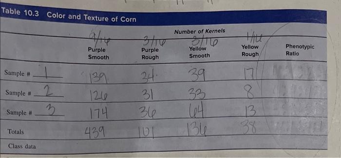 Table 10 3 Color And Texture Of Corn Sample Sample Sample Totals Class Data 2 3 Purple Smooth 139 126 174 439 3 10 1