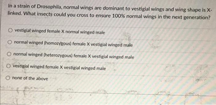 In A Strain Of Drosophila Normal Wings Are Dominant To Vestigial Wings And Wing Shape Is X Linked What Insects Could 1