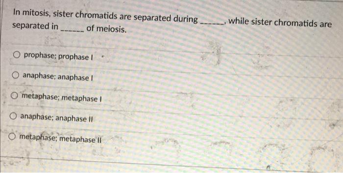 In Mitosis Sister Chromatids Are Separated During Separated In Of Meiosis Prophase Prophase I O Anaphase Anaphase I 1