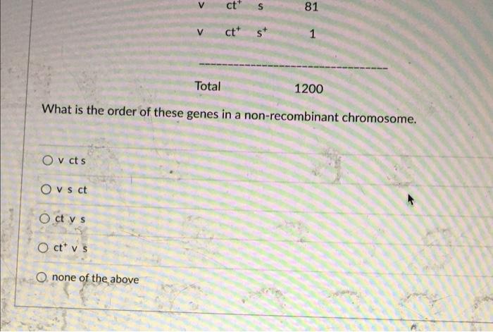 All Three Recessive Mutations Are X Linked A Female Fly With Cut Wings Sable Body And Vermilion Eyes Is Crossed To A 2