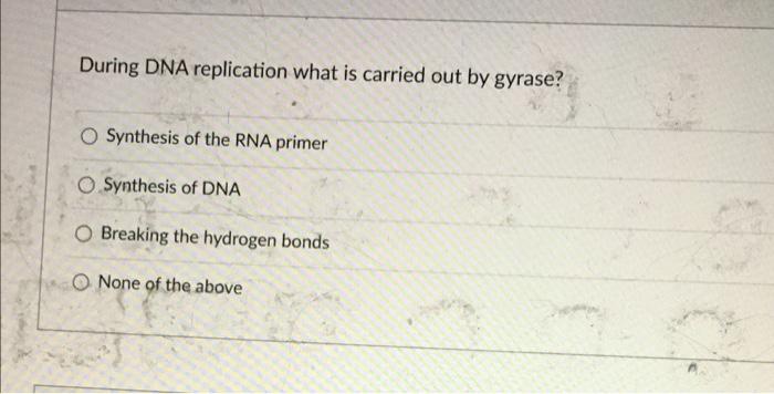 During Dna Replication What Is Carried Out By Gyrase O Synthesis Of The Rna Primer O Synthesis Of Dna O Breaking The Hy 1
