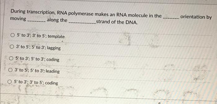 During Transcription Rna Polymerase Moving Along The O 5 To 3 3 To 5 Template O 3 To 5 5 To 3 Lagging O 5 1