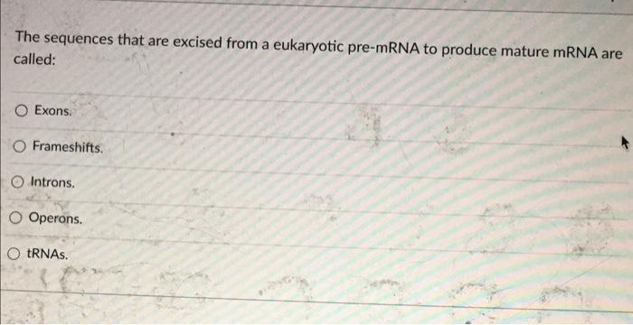 The Sequences That Are Excised From A Eukaryotic Pre Mrna To Produce Mature Mrna Are Called O Exons O Frameshifts Int 1