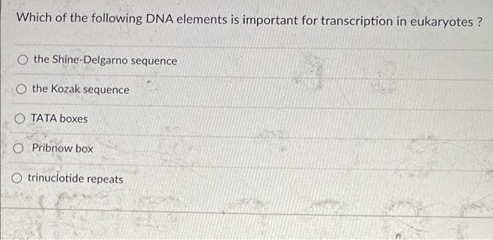 Which Of The Following Dna Elements Is Important For Transcription In Eukaryotes The Shine Delgarno Sequence O The Koza 1
