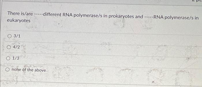There Is Are Different Rna Polymerase S In Prokaryotes And Rna Polymerase S In Prokaryotes And Eukaryotes 3 1 04 2 1