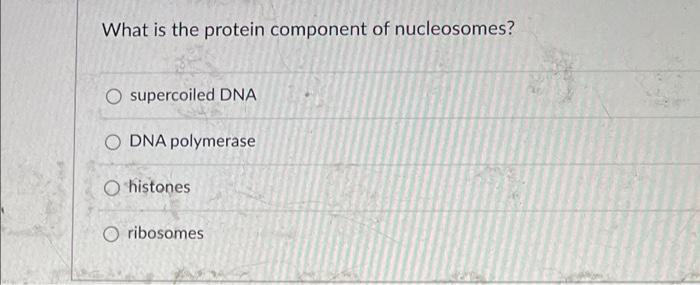 What Is The Protein Component Of Nucleosomes O Supercoiled Dna O Dna Polymerase O Histones O Ribosomes 1