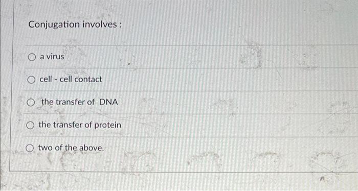 Conjugation Involves O A Virus O Cell Cell Contact The Transfer Of Dna O The Transfer Of Protein O Two Of The Above 1