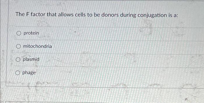 The F Factor That Allows Cells To Be Donors During Conjugation Is A O Protein O Mitochondria O Plasmid O Phage 1