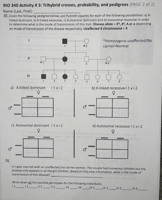 I Don T Know How To Fill Out The Punnett Squares Correctly 1