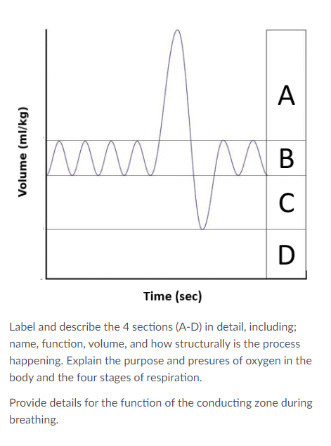 Volume Ml Kg Mw A Mb C D Time Sec Label And Describe The 4 Sections A D In Detail Including Name Function Volu 1
