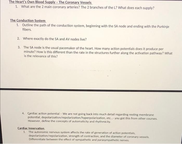 Very Basics Of The System 1 What Is The General Function Of The Circulatory System 2 How Is This Function Able To Be 2