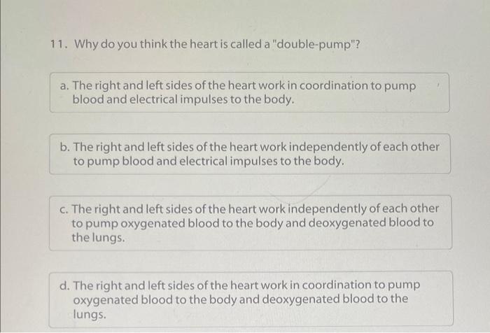 11 Why Do You Think The Heart Is Called A Double Pump A The Right And Left Sides Of The Heart Work In Coordination 1