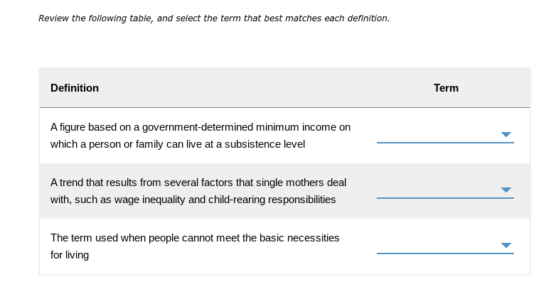 This Is For Sociology The Following Are The Drop Down Answer Choices Absolute Poverty Feminization Of Poverty Job Desk 1