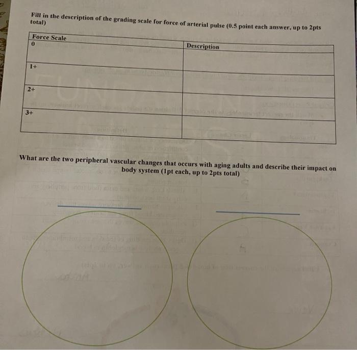 Fill In The Description Of The Grading Scale For Force Of Arterial Pulse 0 5 Point Each Answer Up To 2pts Total Force 1