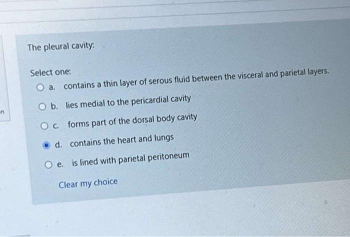 N The Pleural Cavity Select One O A Contains A Thin Layer Of Serous Fluid Between The Visceral And Parietal Layers O 1