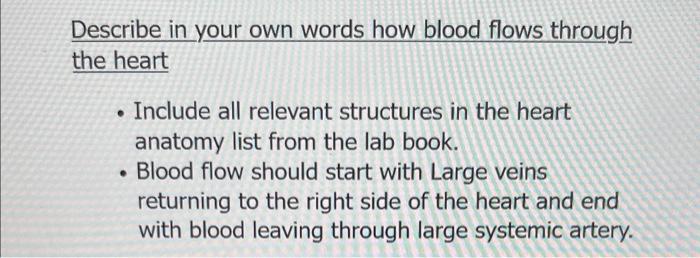 Describe In Your Own Words How Blood Flows Through The Heart Include All Relevant Structures In The Heart Anatomy List 1